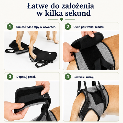 Pawlio LiftPro